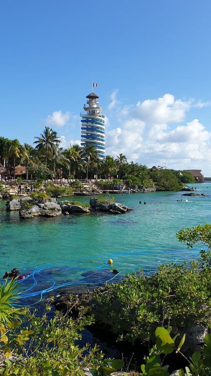 Xcaret / Xel-Há — foto 5